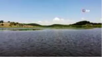 Doğa güzelliği Yayla Gölü hassas koruma alanı ilan edildi