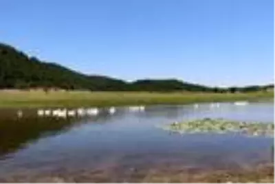 Kuş cenneti Yayla Gölü koruma altına alındı Kuş cenneti Yayla Gölü koruma altına alındı