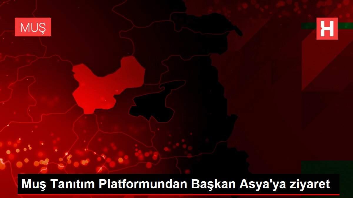 Son dakika... Muş Tanıtım Platformundan Başkan Asya'ya ziyaret Son dakika... Muş Tanıtım Platformundan Başkan Asya'ya ziyaret