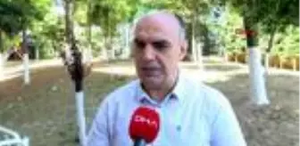 Küçükçekmece Gölü: PROF. DR. ALBAY, KÜÇÜKÇEKMECE GÖLÜ'NDEKİ BALIK ÖLÜMLERİNİ DEĞERLENDİRDİ Küçükçekmece Gölü: PROF. DR. ALBAY, KÜÇÜKÇEKMECE GÖLÜ'NDEKİ BALIK ÖLÜMLERİNİ DEĞERLENDİRDİ
