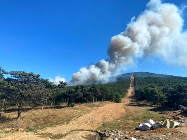 Son Dakika: İstanbul'da orman yangını çıktı, itfaiye müdahale ediyor