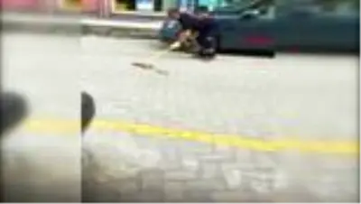 AFYONKARAHİSAR Otomobile giren yılanı itfaiyeciler çıkardı AFYONKARAHİSAR Otomobile giren yılanı itfaiyeciler çıkardı