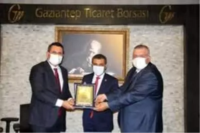 Antep fıstığında tahmini Türkiye rekoltesi 388 bin ton Antep fıstığında tahmini Türkiye rekoltesi 388 bin ton