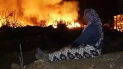 Budanmış kuru ağaç dallarının bulunduğu alanda çıkan yangın endişeye neden oldu