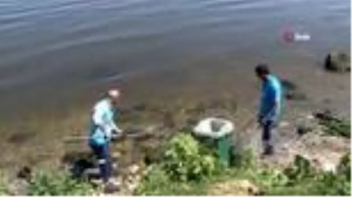 Çevre ve Şehircilik Bakanlığı ekipleri, balık ölümlerinin yaşandığı Küçükçekmece Gölü'nden numune...