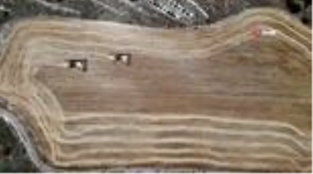 Elazığ'da 600 dönüme arpa eken başkan, hasada başladı