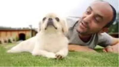 Eski Survivor yarışmacısı Ersin Korkut, köpeğinin ölüm haberini aldığı dakikaları anlattı Eski Survivor yarışmacısı Ersin Korkut, köpeğinin ölüm haberini aldığı dakikaları anlattı