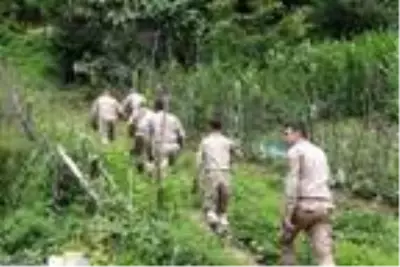Giresun'da kayıp 7 yaşındaki İkranur aranıyor