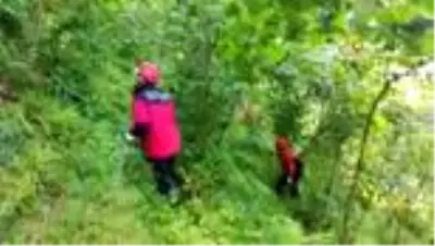 Küçük İkra Nur’u arama çalışmaları 3. gününde devam ediyor