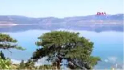 Salda Gölü yine cıvıl cıvıl