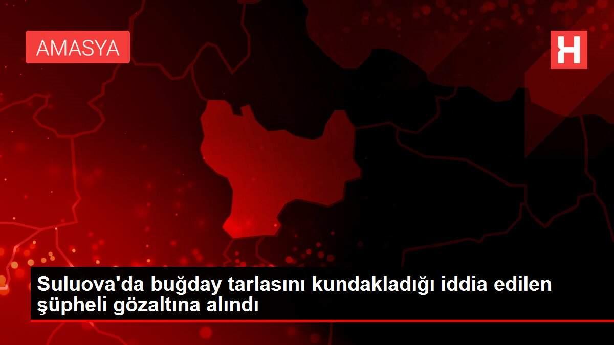 Suluova'da buğday tarlasını kundakladığı iddia edilen şüpheli gözaltına alındı Suluova'da buğday tarlasını kundakladığı iddia edilen şüpheli gözaltına alındı