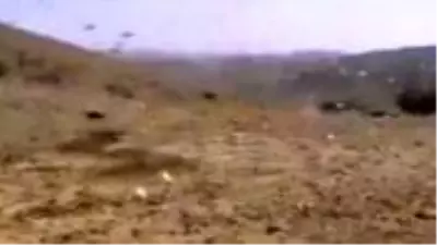 Suudi Arabistan’da çekirge istilası paniğe neden oldu