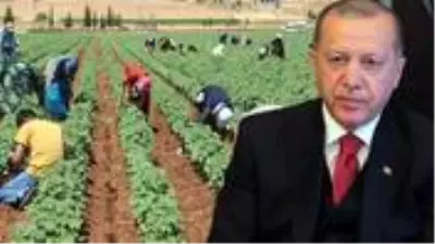 50 derece sıcaklıkta günlük 50 liraya çalışan Şanlıurfalı işçiler, çalışma şartlarının iyileştirilmesini istiyor 50 derece sıcaklıkta günlük 50 liraya çalışan Şanlıurfalı işçiler, çalışma şartlarının iyileştirilmesini istiyor