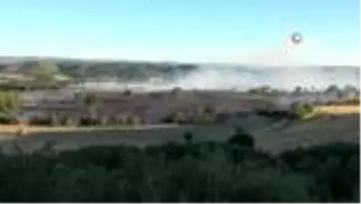 Son dakika 3. sayfa: Arpa ekili tarlada yangın çıktı...45 dönüm alan zarar gördü Son dakika 3. sayfa: Arpa ekili tarlada yangın çıktı...45 dönüm alan zarar gördü