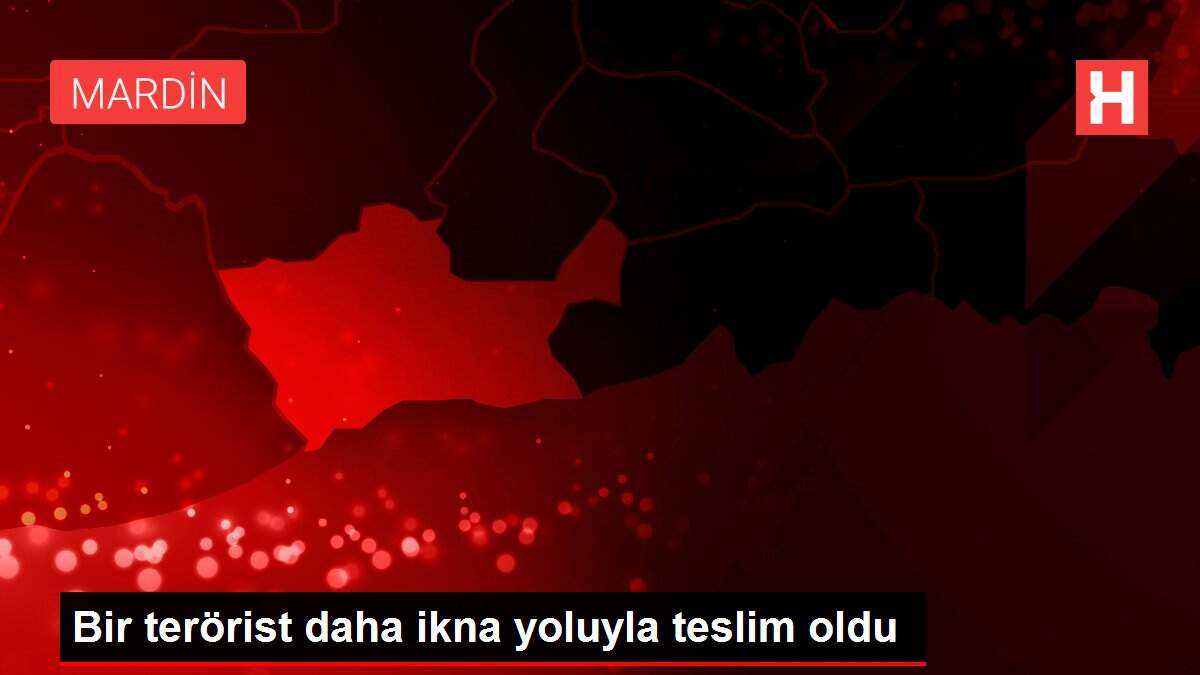 Bir terörist daha ikna yoluyla teslim oldu