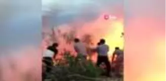 Kocaköy: Diyarbakır'ın Kocaköy ilçesinde çıkan yangın, yüzlerce dönüm araziyi küle çevirdi Kocaköy: Diyarbakır'ın Kocaköy ilçesinde çıkan yangın, yüzlerce dönüm araziyi küle çevirdi