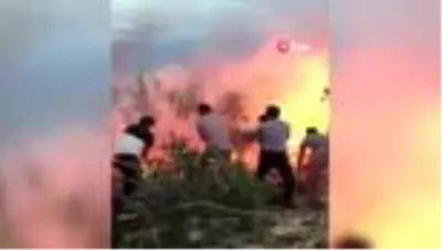 Diyarbakır'ın Kocaköy ilçesinde çıkan yangın, yüzlerce dönüm araziyi küle çevirdi Diyarbakır'ın Kocaköy ilçesinde çıkan yangın, yüzlerce dönüm araziyi küle çevirdi