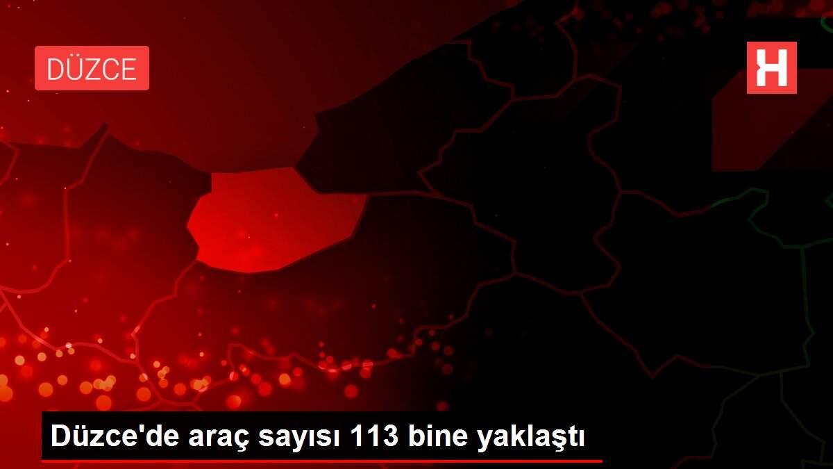 Düzce'de araç sayısı 113 bine yaklaştı Düzce'de araç sayısı 113 bine yaklaştı