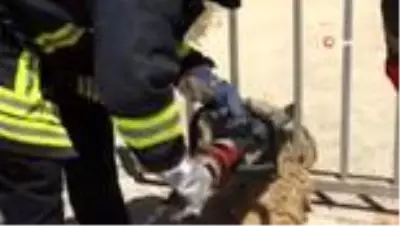 Ekipler köpeği ölmek üzereyken kurtardı Ekipler köpeği ölmek üzereyken kurtardı