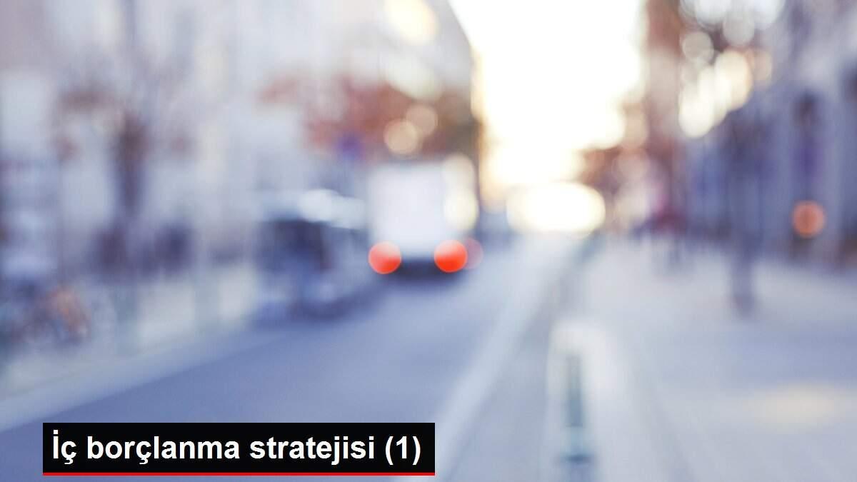 İç borçlanma stratejisi (1) İç borçlanma stratejisi (1)