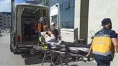 İpi çözülen kurbanlık koç, elmacık kemiğini kırdığı sahibini bayılttı İpi çözülen kurbanlık koç, elmacık kemiğini kırdığı sahibini bayılttı