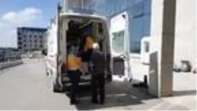 Kurbanlık koçla kafa tokuşturunca hastanelik oldu Kurbanlık koçla kafa tokuşturunca hastanelik oldu