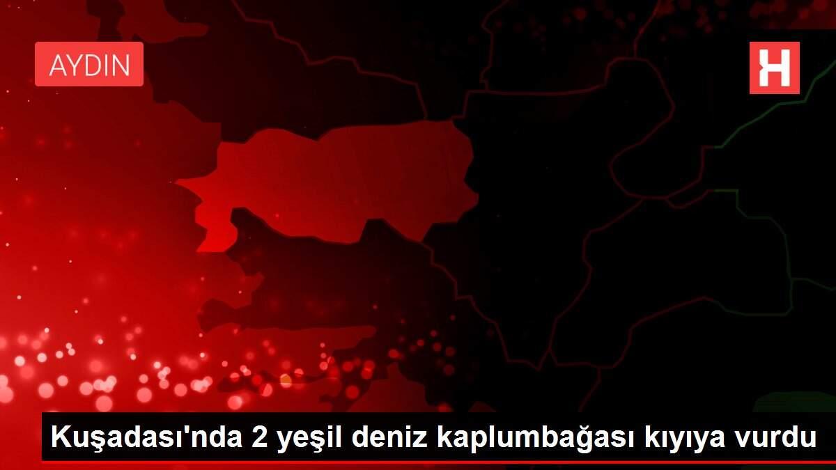 Son dakika haberi: Kuşadası'nda 2 yeşil deniz kaplumbağası kıyıya vurdu