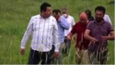 Muş'ta tespit edilen sıcak su kaynakları ekonomiye kazandırılacak Muş'ta tespit edilen sıcak su kaynakları ekonomiye kazandırılacak