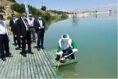 Nasreddin Hoca'nın doğum gününde göle maya çaldı, ters bindiği eşekten düştü Nasreddin Hoca'nın doğum gününde göle maya çaldı, ters bindiği eşekten düştü
