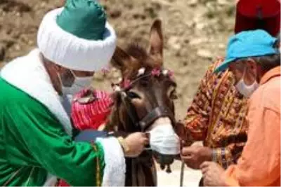 Önce eşeğe maske takıldı sonra göle maya çalındı Önce eşeğe maske takıldı sonra göle maya çalındı