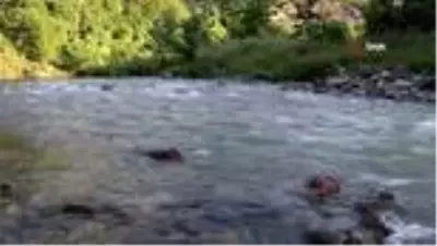 Ordu'da rafting için çalışmalar başlatıldı Ordu'da rafting için çalışmalar başlatıldı