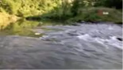 Ordu'da rafting için çalışmalar başlatıldı Ordu'da rafting için çalışmalar başlatıldı