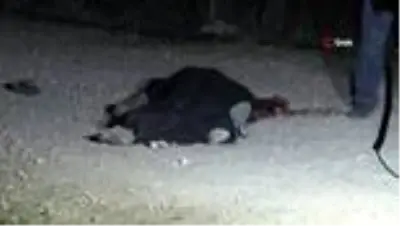 İki aile arasında arazi anlaşmazlığı nedeniyle çıkan kavgada kan aktı: 2 ölü, 1'i ağır 3 yaralı İki aile arasında arazi anlaşmazlığı nedeniyle çıkan kavgada kan aktı: 2 ölü, 1'i ağır 3 yaralı