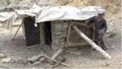 Şemdinli’de kümese giren köpekler 72 tavuğu telef etti