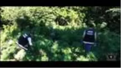 Zonguldak'ta drone destekli uyuşturucu operasyonu: 1 tutuklama Zonguldak'ta drone destekli uyuşturucu operasyonu: 1 tutuklama