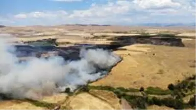 Elazığ'da yangın saatler sonra kontrol altına alındı, 800 dönüm ekili arazi kül oldu Elazığ'da yangın saatler sonra kontrol altına alındı, 800 dönüm ekili arazi kül oldu