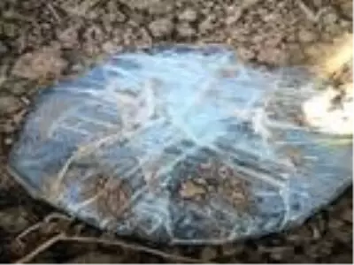Güvenlik güçleri, geçiş güzergahına tuzaklanan patlayıcı bulup, imha etti Güvenlik güçleri, geçiş güzergahına tuzaklanan patlayıcı bulup, imha etti