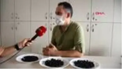 Siyah zeytindeki hileye dikkat Siyah zeytindeki hileye dikkat