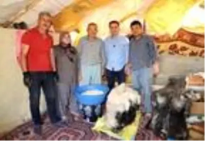 Keçi sütünden yapılan Söğle peyniri, 4 ay kuyuda bekletilip kilosu 90 TL'den satılıyor Keçi sütünden yapılan Söğle peyniri, 4 ay kuyuda bekletilip kilosu 90 TL'den satılıyor