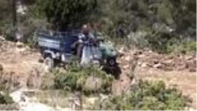Mağaralarda olgunlaşmaya bırakılan obruk peynirinin 'lezzet yolculuğu' başladı Mağaralarda olgunlaşmaya bırakılan obruk peynirinin 'lezzet yolculuğu' başladı