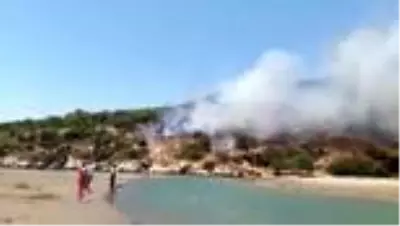 Muğla'da çıkan orman yangını söndürüldü Muğla'da çıkan orman yangını söndürüldü