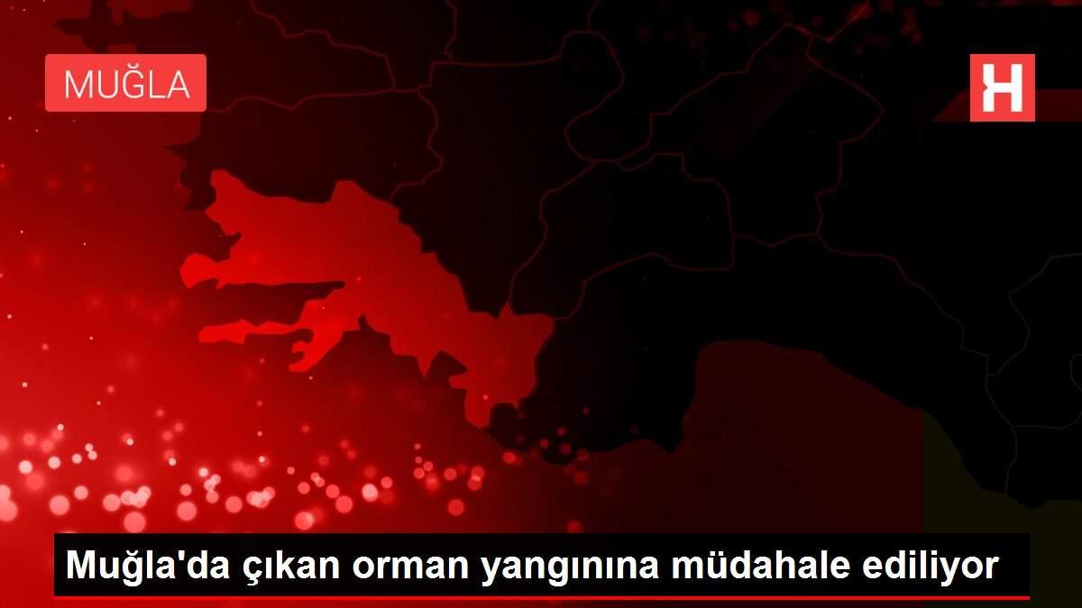 Muğla'da çıkan orman yangınına müdahale ediliyor Muğla'da çıkan orman yangınına müdahale ediliyor