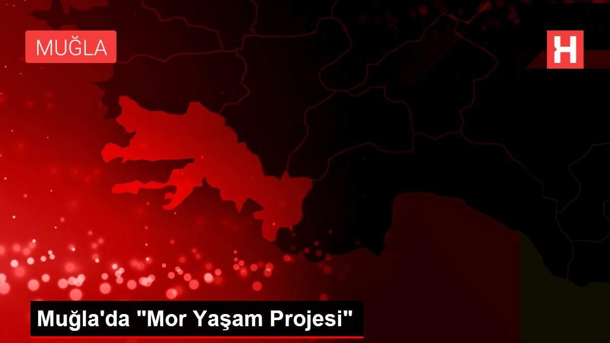 Muğla'da