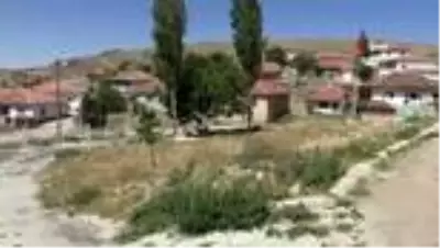 Normalleşme süreciyle düğünler başladı Normalleşme süreciyle düğünler başladı