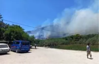 Seydikemer'de ormanlık alanda yangın çıktı Seydikemer'de ormanlık alanda yangın çıktı