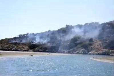 Seydikemer'deki orman yangınında 2 hektar alan zarar gördü Seydikemer'deki orman yangınında 2 hektar alan zarar gördü