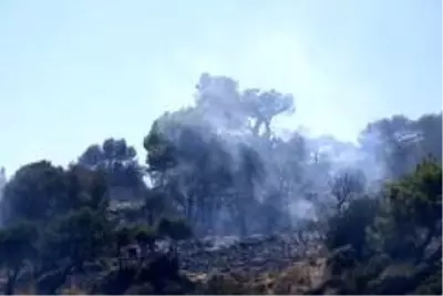 Seydikemer'deki orman yangınında 2 hektar alan zarar gördü Seydikemer'deki orman yangınında 2 hektar alan zarar gördü