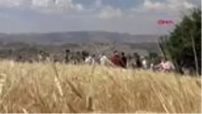 Şırnak'ta buğday hasadı şenliği düzenlendi Şırnak'ta buğday hasadı şenliği düzenlendi