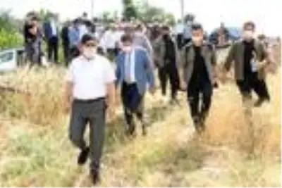 Son dakika haberleri: Şırnak'ta buğday hasadı şenliği düzenlendi Son dakika haberleri: Şırnak'ta buğday hasadı şenliği düzenlendi