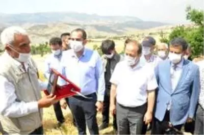 Son dakika haberi! Şırnak'ta 'dengbej' eşliğinde buğday hasadı başladı Son dakika haberi! Şırnak'ta 'dengbej' eşliğinde buğday hasadı başladı